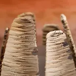 아파트 Les Maisons De Louise Pirou